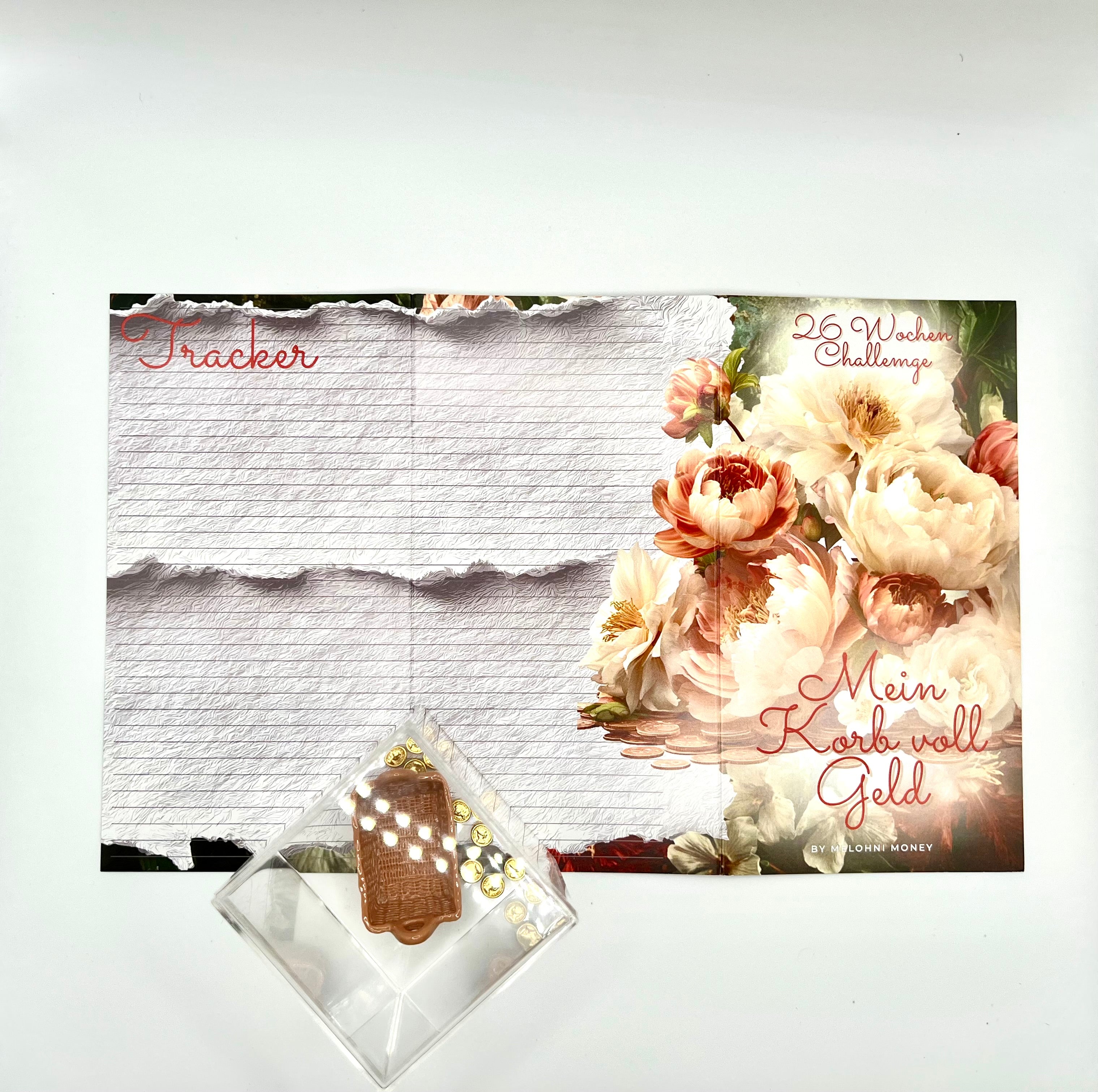 “Mein Korb voll Geld”- Team Challenge / 26 Wochen Challenge mit Korb und Münzen in Acrylbox