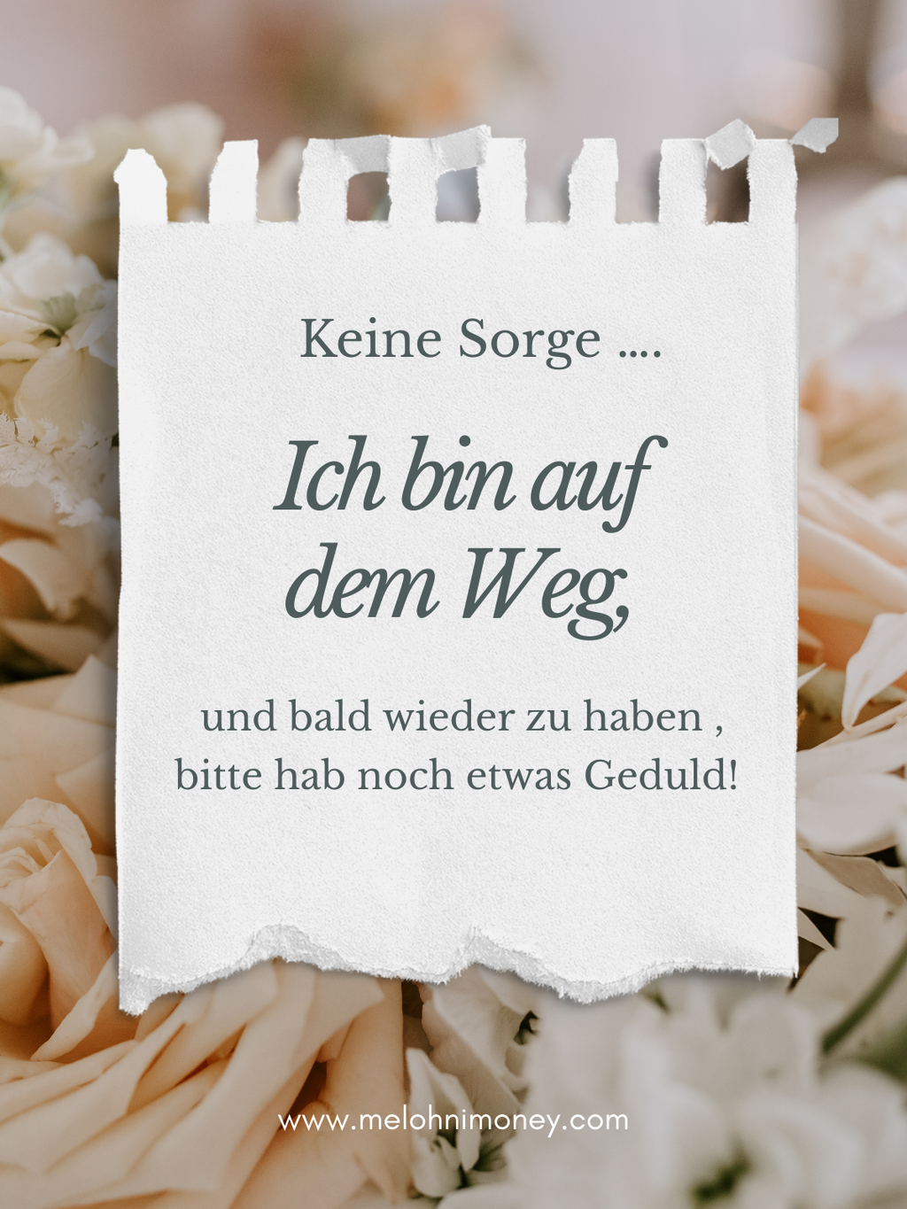 Hüllen 3 Fächer ( 2 Außen ohne Verschluss, mittig mit Druckverschluss) A6
